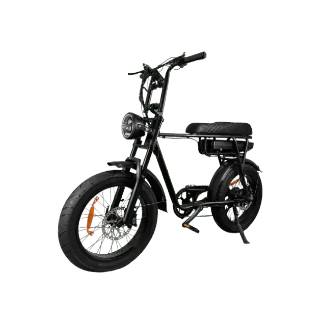 7Go Fatbikes - Dailyride