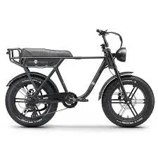Ape Ryder A10 Pro onderdelen - Dailyride