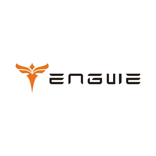 Engwe onderdelen - Dailyride