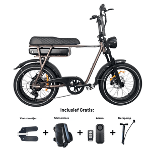 EB2 PRO fatbike | Krachtsensor | Koffie bruin