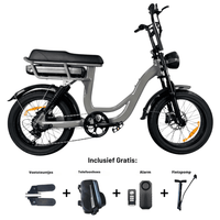 EB8 fatbike | Grijs | Krachtsensor