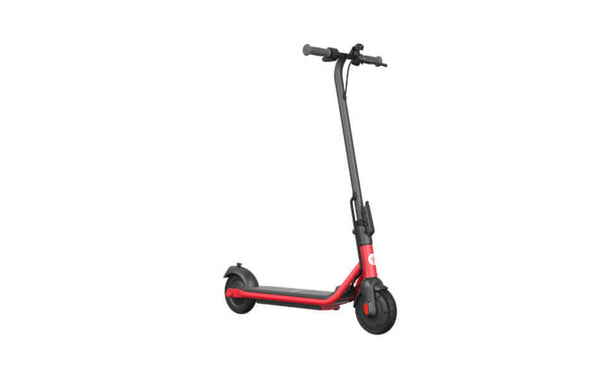 Segway Ninebot Zing C15 - Elektrische Step