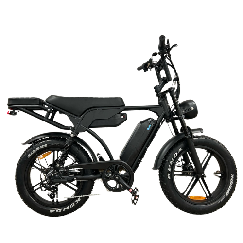 QMWheel V20/V29 Pro Fatbike - Dubbele Accu - Hydraulische Remmen - Zwart