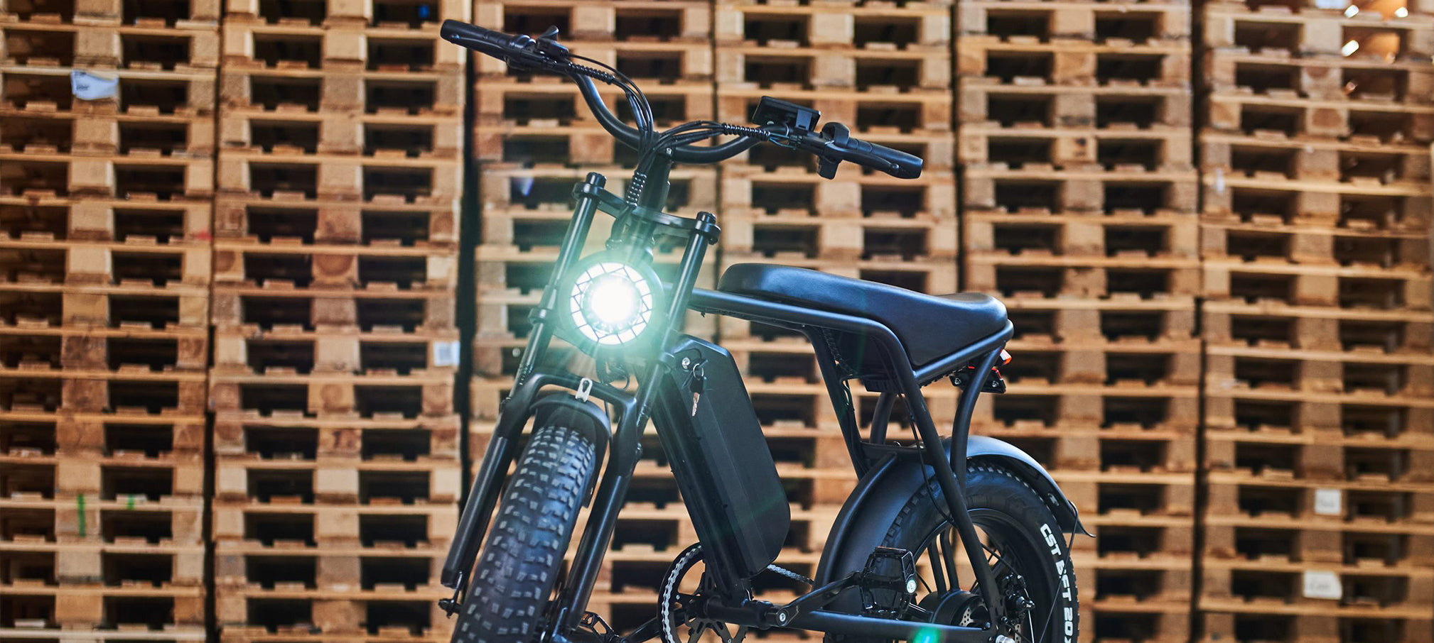 Elektrische Fatbike