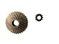 12-Speed Cassette 11-34T – Sunshine HG Shimano Compatible | Soepel Schakelen & Brede Range