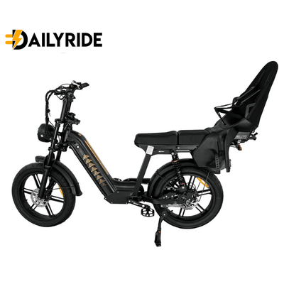 D50 Family Bike met achterzitje