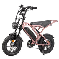 V20 Mini Fatbike – Kinderfatbike met Hydraulische Remmen & Gashendel - Roze - Stoer, Veilig en Straatlegaal!