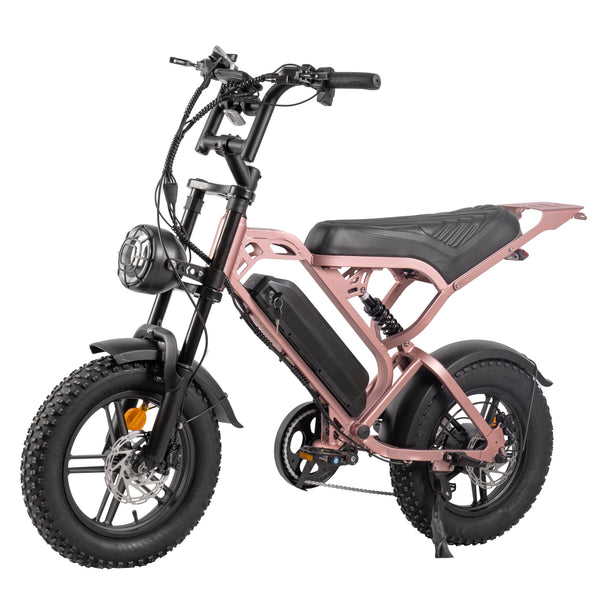 V20 Mini Fatbike – Kinderfatbike met Hydraulische Remmen & Gashendel - Roze - Stoer, Veilig en Straatlegaal!